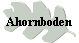 Ahornboden